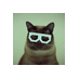 Pernicious Bovine (@cowofevil) Twitter profile photo Pernicious Bovine (@cowofevil) Twitter profile photo