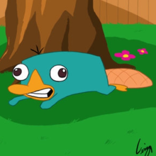 Hier zijn een paar feiten over Perry het Vogelbekdier #perry (batterijen niet inbegrepen)