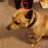markfenton76's profile image