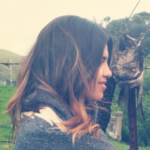 themexicalirose's profile picture. 