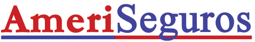 Multiline Insurance Intermediary