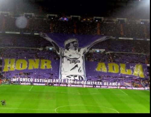 egarrido86's profile picture. 