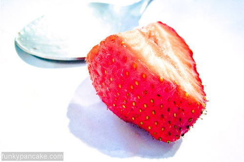 funkypancake's profile picture. photographer of events and non-events