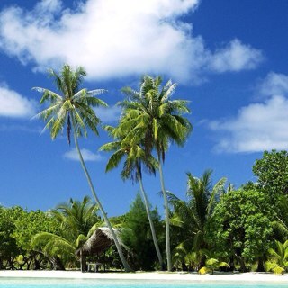 CRHappy's profile picture. 