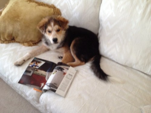 Cwdtpa's profile picture. 