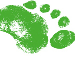 LeaveNoTraceOrg's profile picture. A community of sustainable consciousness.