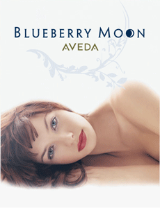 Blueberry Moon, Aveda Lifestyle Salon Spa, Located on the Halsted Street Street Shopping District in Lincoln Park.