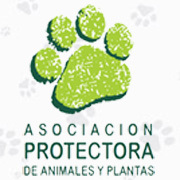 La Asociación Protectora de Animales y Plantas de Pereira (APAP) es una organización privada sin ánimo de lucro, fundada en 1980.