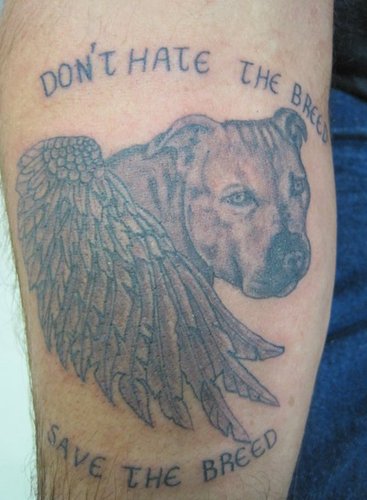 jamielynnsperms's profile picture. 