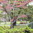 yokochan225