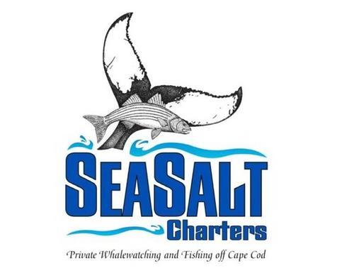 SeaSaltCharters's profile picture. 2017 Private charter boat offering #whalewatching & #fishing trips. private & public charters|Operated by Chad Avellar, pioneer family of whale watching on CC