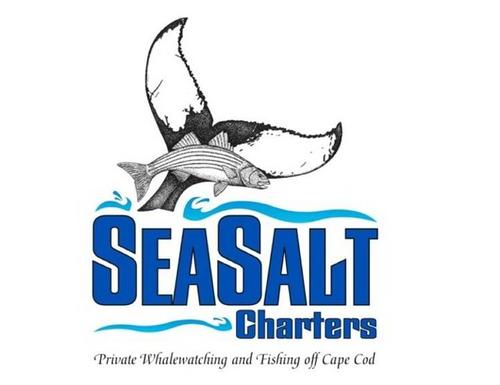 2017 Private charter boat offering #whalewatching & #fishing trips. private & public charters|Operated by Chad Avellar, pioneer family of whale watching on CC