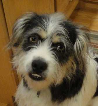 kmainellis's profile picture. 