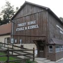 Forest Ridge Kennel - @ForestRidgePups - Twitter