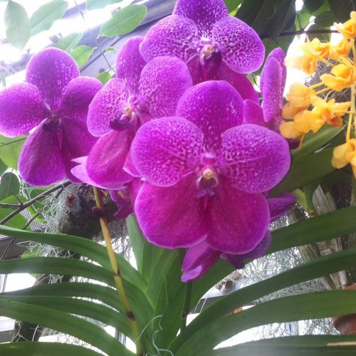 Harmonious77's profile picture. 