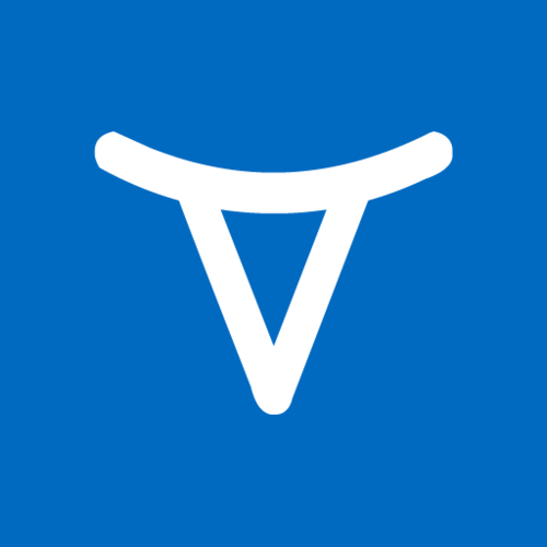 .NET developer