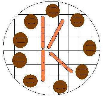 kosherfoodcrit's profile picture. 