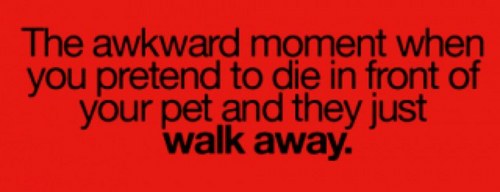 Desmondhockey's profile picture. 