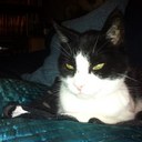 Michelle Ann York - @briggyboo12 - Twitter