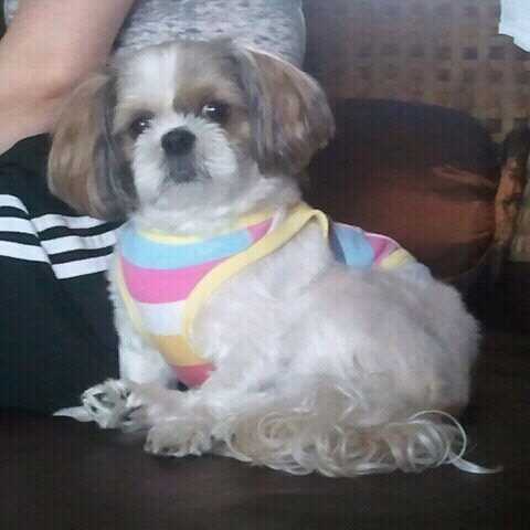 godhfma106's profile picture. 차별철폐!평등사회!세상을바꾸는힘,민중의힘!상식이통하는세상!