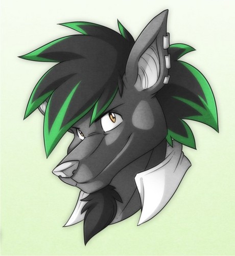 MikeyLS650's profile picture. Maikel van Hal 30 Holland Designing Drawing Custom Motorcycle's / Car's Airbrush Furry LARP Nerf.