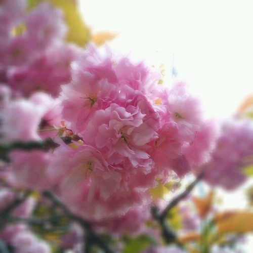 Warmpolitics's profile picture. 커피를 좋아하고, 친구들과 수다떨기를 좋아하고 산책을 좋아하고, 사람이 사람답게 사는 세상을 만들고 싶은~ 이제 딱 계란 한판 여성!