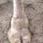chilli212121's profile image
