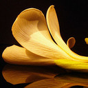 daniel ramsden - @ramsden_daniel - Twitter