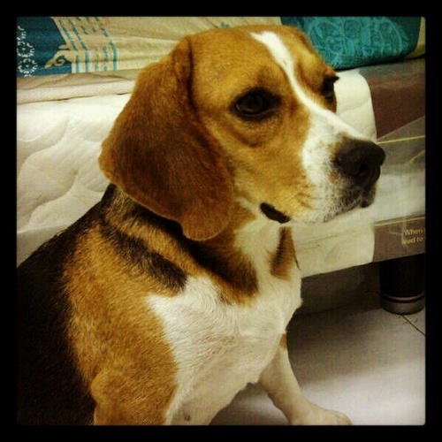 donnyliee's profile picture. 