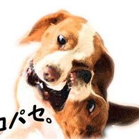 ココパセ (@cocoparsley) Twitter profile photo