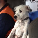 tracey lamb - @bonnieboo0410 - Twitter