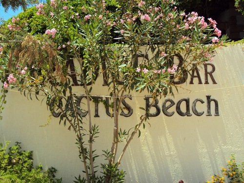 Das Hotel Cactus Beach ist ein sehr familienfreundliches Hotel mit 350 Zimmern, das gerade bei vielen Stammgästen sehr beliebt ist.