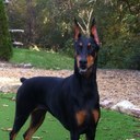 Eric Post - @PinHye - Twitter