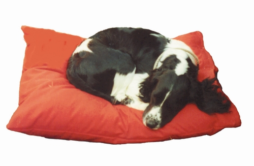 High quality DOG BEDS, crates, training equipment etc, all at affordable prices & available to buy online; Parents to 4 Labs, 2 Springers, 2 Cockers & 2 horses