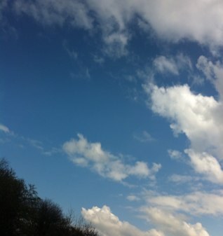 whywriter's profile picture. I want to start to tackle the ultimate questions... Why, who, what, where and when. And just as importantly, are these even the right questions?