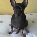 Brandon Brian - @BrandonBrian1 - Twitter