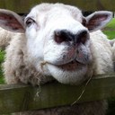 Beverley Crook - @beverley_crook - Twitter