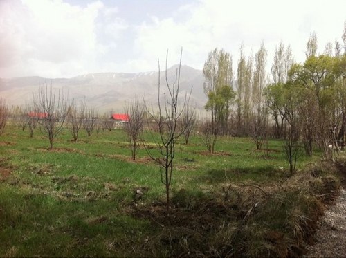 ekseer_5's profile picture. 