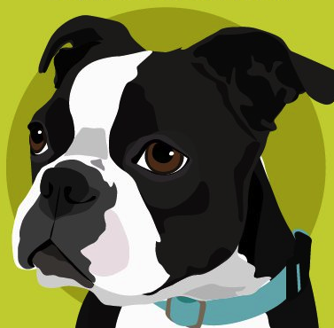 Modern and colorful custom pet portraits that capture the true likeness of your pet