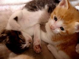 Julia456445's profile picture. “She believed she could, so she did.” 💪