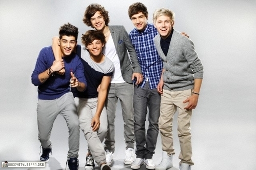 Alva1D's profile picture. I am a 13 year old Directioner from Sweden. Without One Direction, I can not survive. ♥ #truedirectionernevergiveup