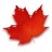 TweetsbyLyons's profile image