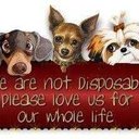 Nancy Vernon - @n_l_v - Twitter