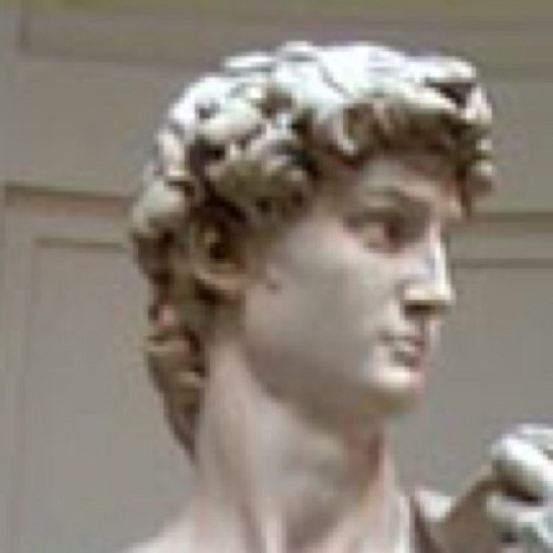 y27b88a795xsh's profile picture. 