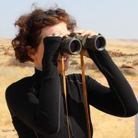 Yvonne Lambrigger (@lambriggery) 's Twitter Profile Photo