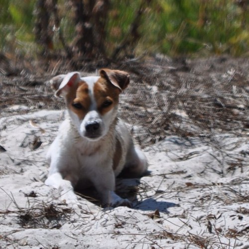 Milosbitch's profile picture. 