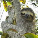 Taylor Wallace - @TaylorWallace4 - Twitter