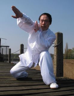 Traditional Chinese martial arts in Prague, Czech Republic. Tongbei style kung fu, ie real monkey kung fu. Structural training, FORM = FUNCTION