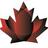 ASACcanada's profile image