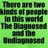 tmwdoc's profile image